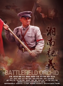 青春草在线免费视频